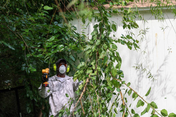 Best Tree Risk Assessment  in South Milwaukee, WI